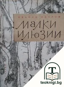 Малки илюзии — корица