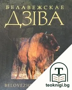 Белавежскае дзiва — корица