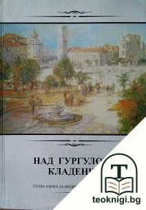 Видин и Видинския край. Книга 1: Над гургулово кладенче — корица