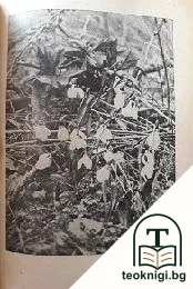 Четиво по природознние. Кн. 1-20 — снимка 3