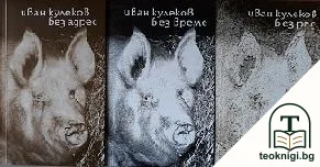 Без време / Без ред / Без адрес — корица
