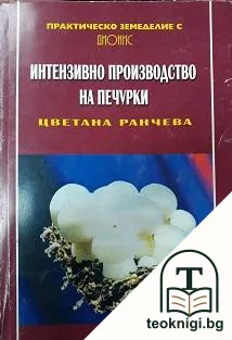 Интензивно производство на печурки — корица