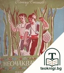 Неочаквани гости — корица
