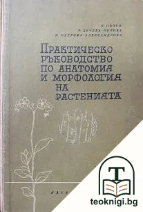 Практическо ръководство по анатомия и морфология на растенията — корица