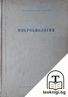 Микробиология — корица