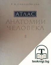 Атлас анатомии человека в трех томах. Том 2: Учение о внутренностях и сосудах — корица