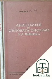Анатомия на съдовата система на човека — корица