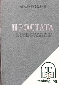 Простата — корица