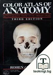 Color atlas of anatomy — корица