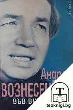 Във виртуалния вихър — корица