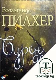Бурен ден — корица