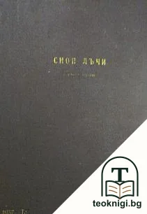 Сноп лъчи — снимка 2