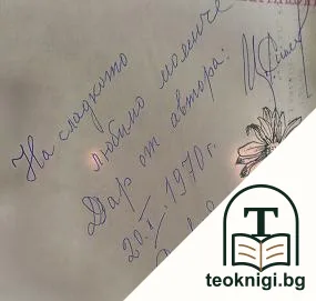 Дворът - съвременна домашна градина — снимка 2