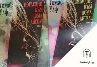 Погледни към дома, ангеле. Том 1-2 — корица