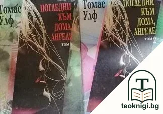Погледни към дома, ангеле. Том 1-2 — корица