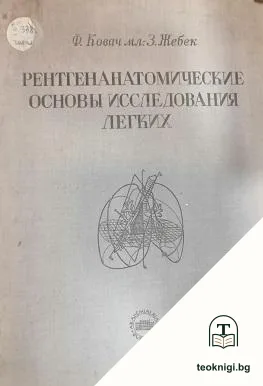Рентгенанатомические основы исследования легких — корица