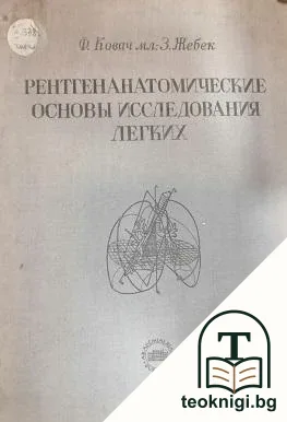 Рентгенанатомические основы исследования легких — корица