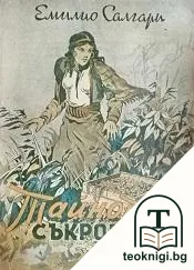 Тайното съкровище — корица
