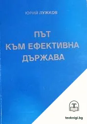 Път към ефективна държава — корица