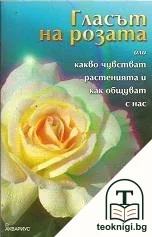 Гласът на розата — корица