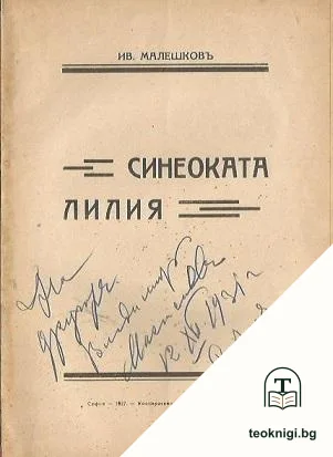 Синеоката лилия — снимка 2