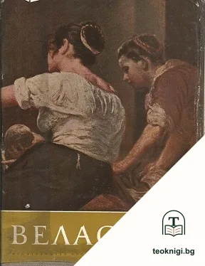 Веласкец — корица