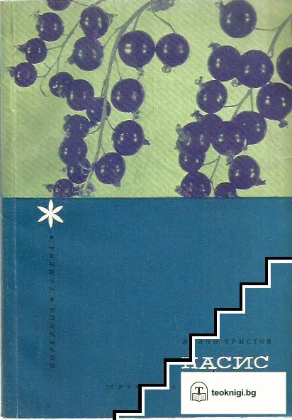 Касис — корица