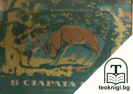 В старата гора — корица