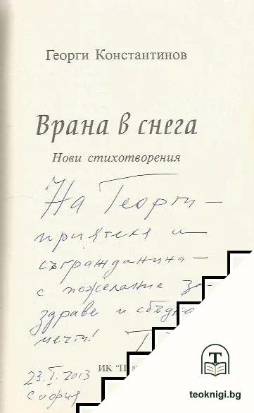 Врана в снега — снимка 2
