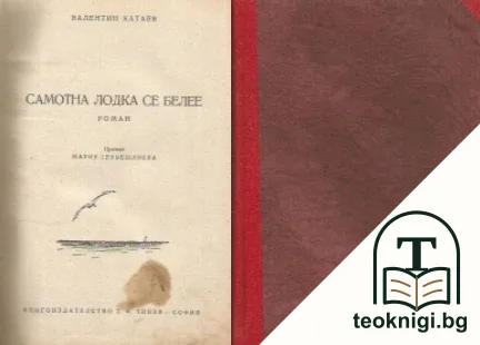 Самотна лодка се белее — корица