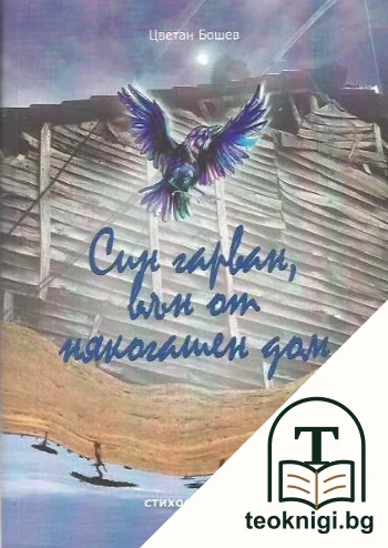 Син гарван, вън от някогашен дом — корица