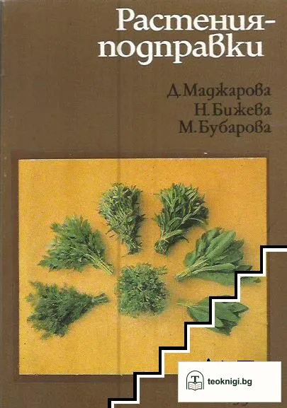 Растения-подправки — корица