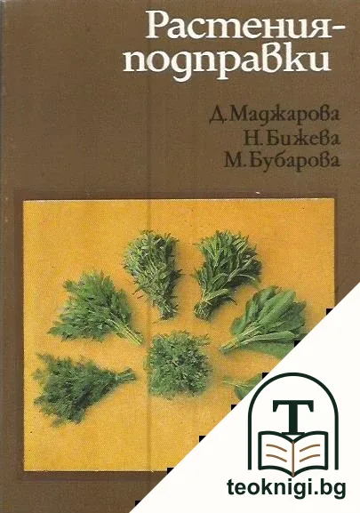 Растения-подправки — корица