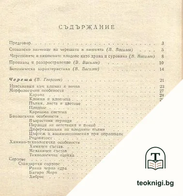 Череша и вишня — снимка 2