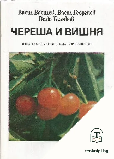 Череша и вишня — корица
