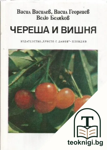 Череша и вишня — корица