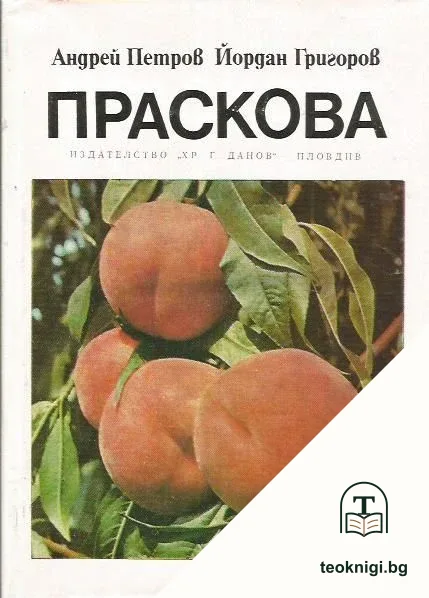 Праскова — корица