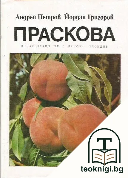 Праскова — корица