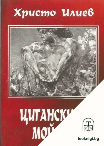Циганският Мойсей — корица