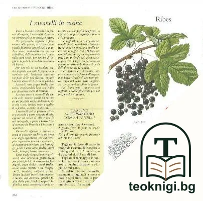 Il buon sapore dell'orto — снимка 3