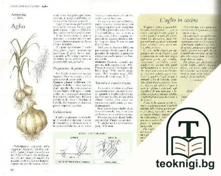 Il buon sapore dell'orto — снимка 2