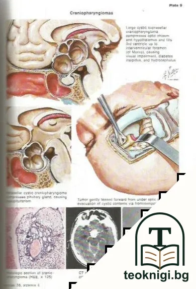 Clinical Symposia 1986 Annual — снимка 3