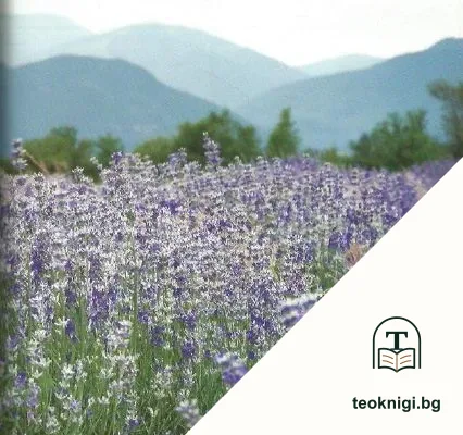 Hidden treasures of Bulgaria. Vol. 2 — снимка 3