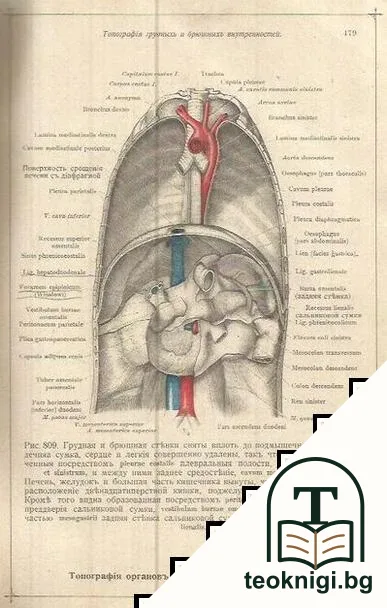 TOLDT Анатомическiй атласъ для студентовъ и врачей. Томъ 2 — снимка 4