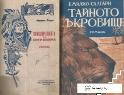 Приключенията на юнга Виляма / Тайното съкровище — корица