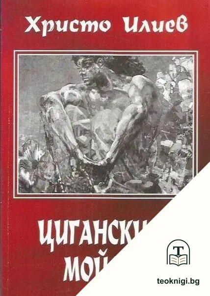 Циганският Мойсей — корица