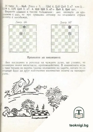 Занимателният шахмат — снимка 3
