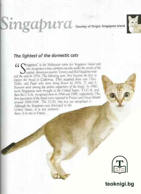 The royal canin cat encyclopedia — снимка 3