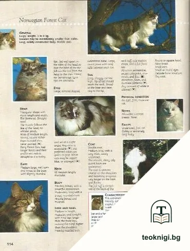 The royal canin cat encyclopedia — снимка 2
