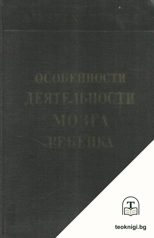 Особенности деятельности мозга ребенка — корица
